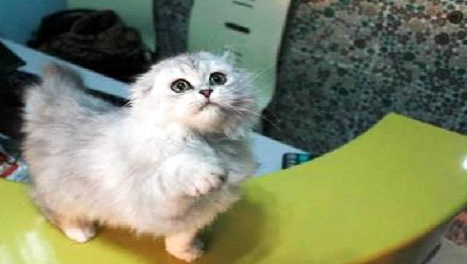 QQ��ͼ20210903174456.png