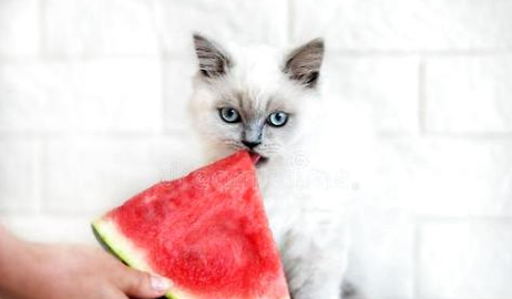 QQ��ͼ20210903174643.png