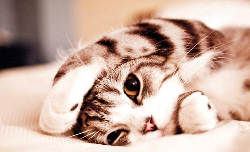 QQ��ͼ20210903174852.png