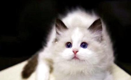 QQ��ͼ20210904173620.png