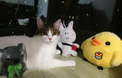QQ��ͼ20210906165651.png