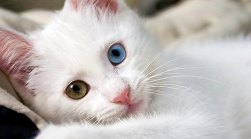 QQ��ͼ20210906171211.png
